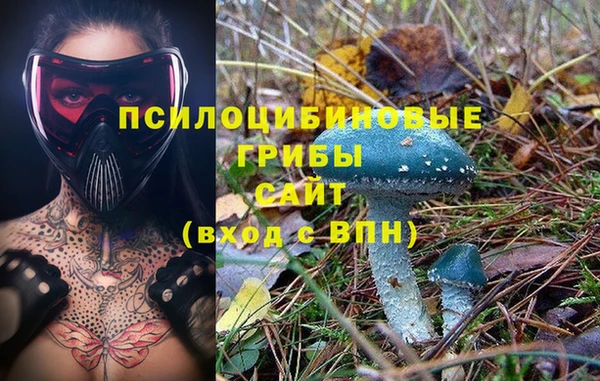 ECSTASY Балабаново