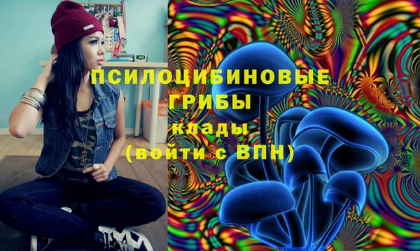 ECSTASY Балабаново