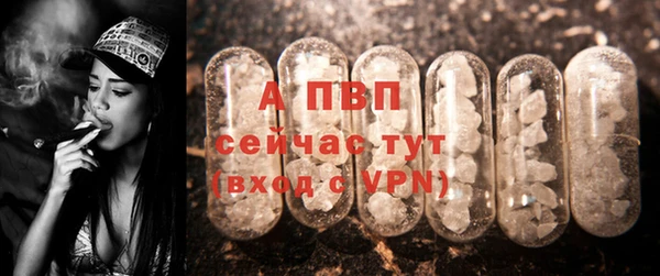 ECSTASY Балабаново