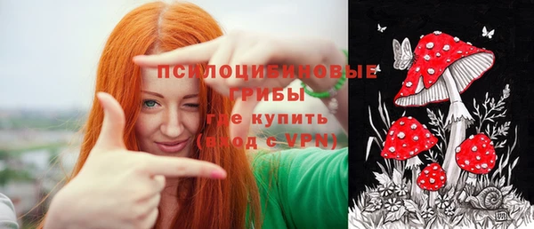 дживик Балахна